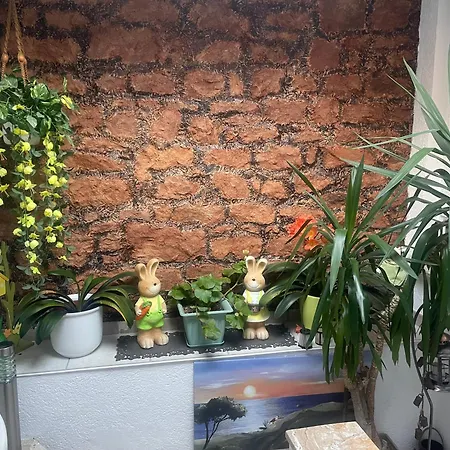 منزل للإقامة Nova Haus Grünstadt